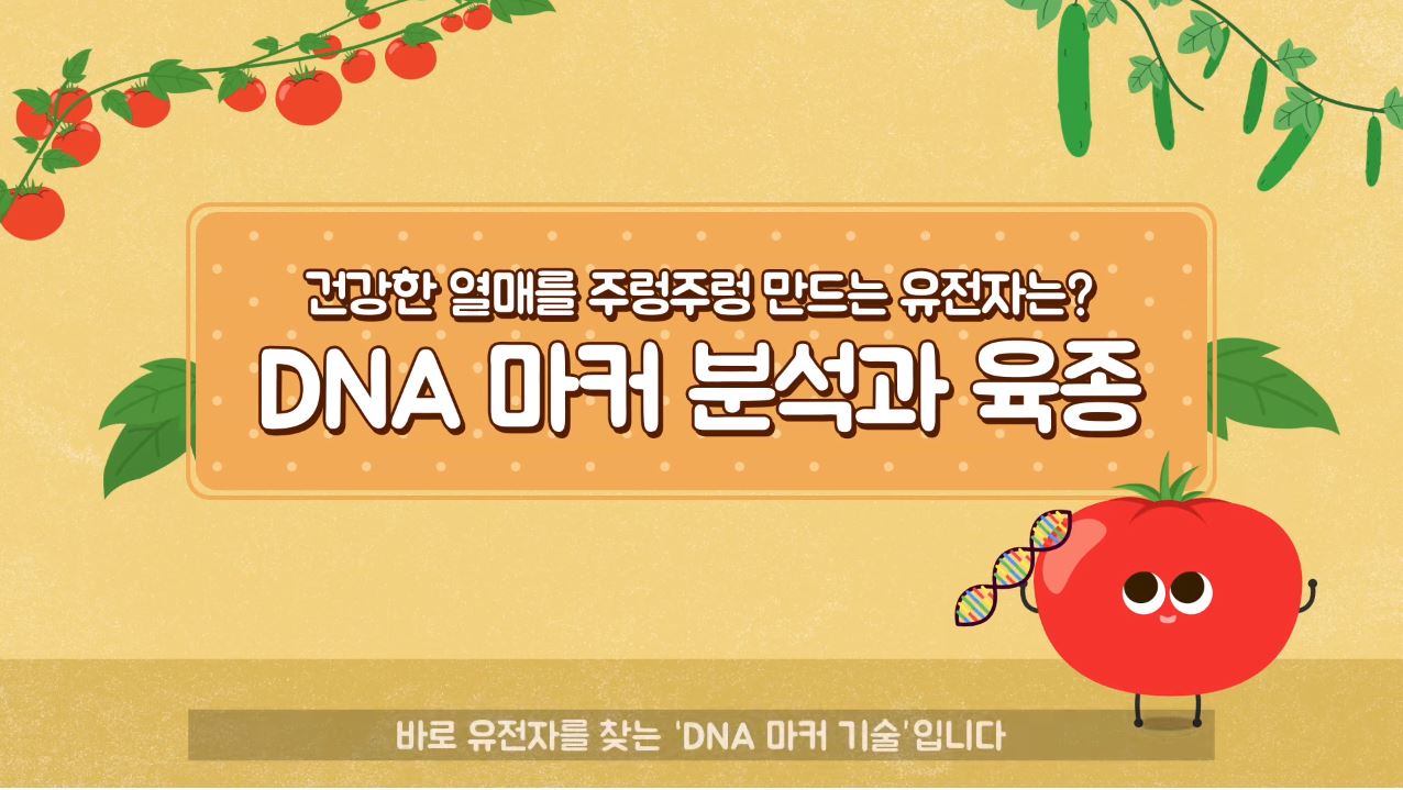 LG사이언스랜드_건강한 열매를 주렁주렁 만드는 유전자는? - DNA 마커분석과 육종